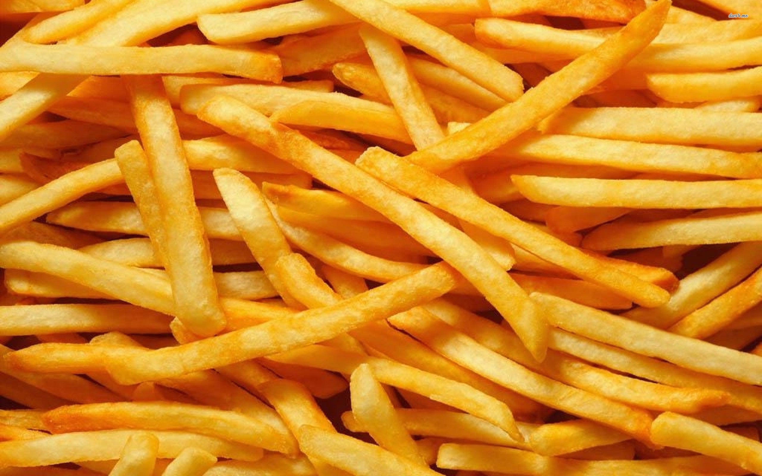 French fries mark twain dinette